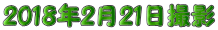 2018�N2��21���B�e 